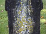 image of grave number 905261